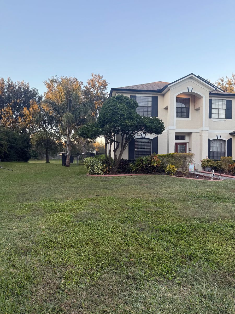 Landscape Installation for Amerigrown Tree And Lawn in Apopka, FL