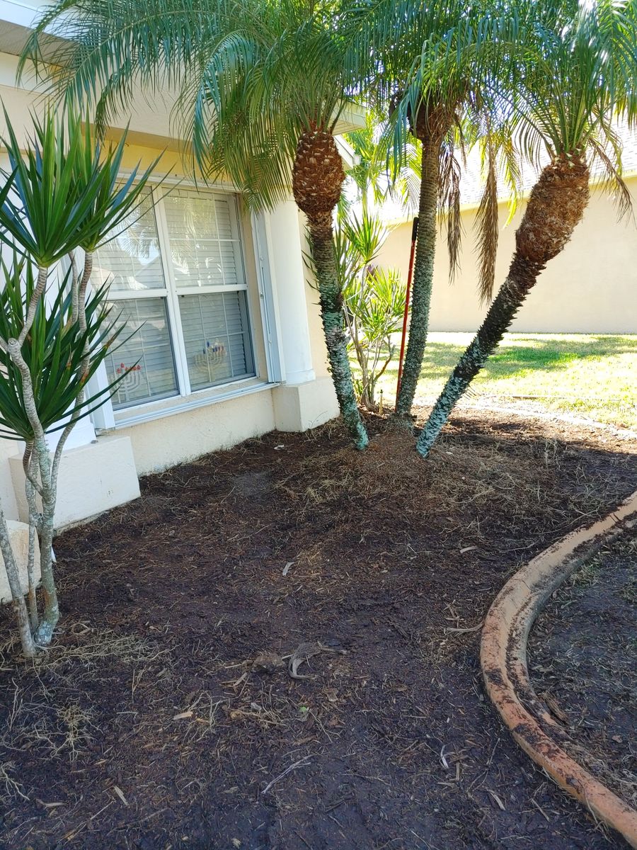 Landscape Installation for Epic Vine Design in Melbourne, FL