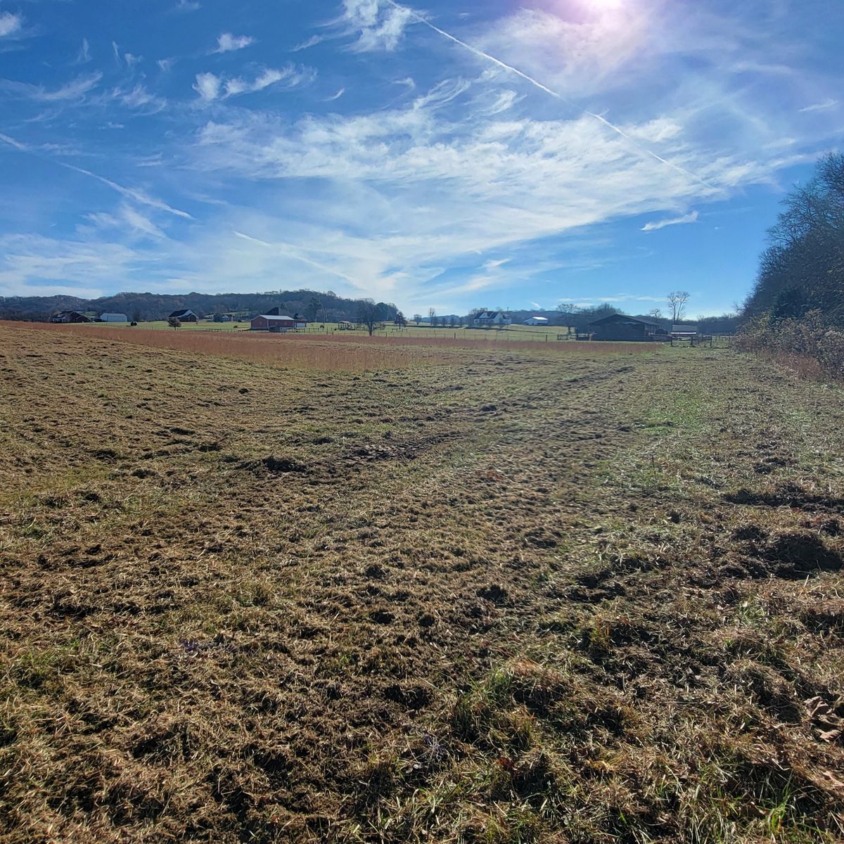 Property management and maintenance for Z's Land Management & Forestry Mulching in Smithville, TN