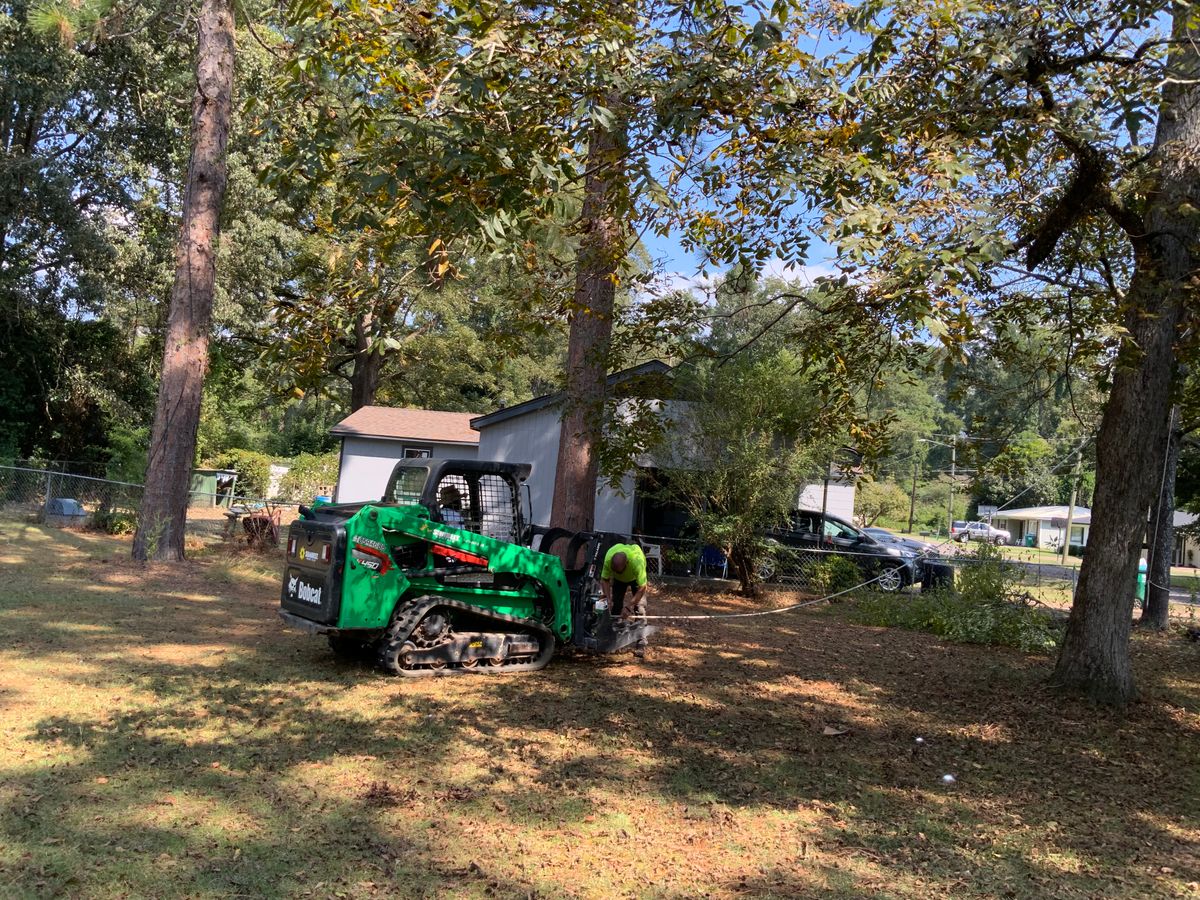 Tree Services for Broadway & McMullen Construction in Hattiesburg, MS