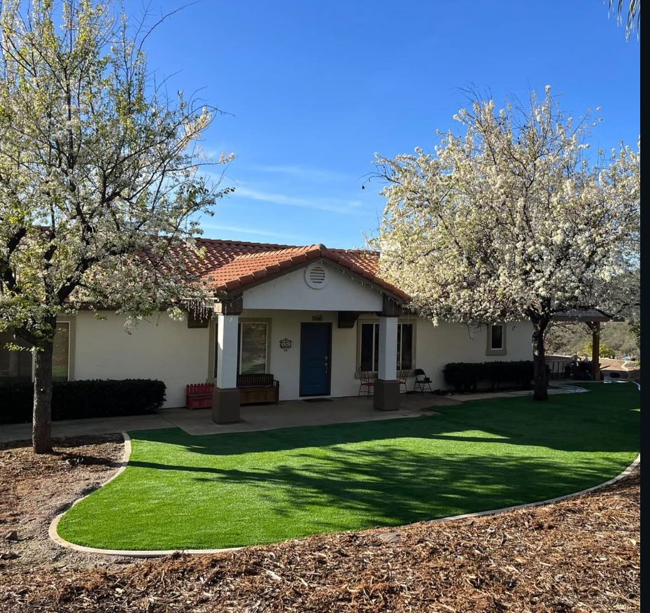 Artificial Turf for Herreras Land Service in San Diego, CA