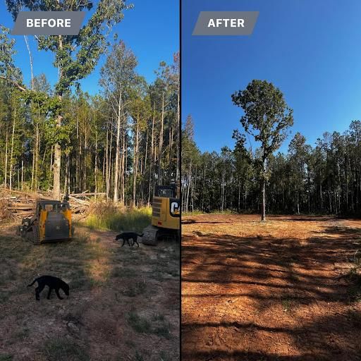 Land Clearing for Southern Roots Services in Carrollton, GA