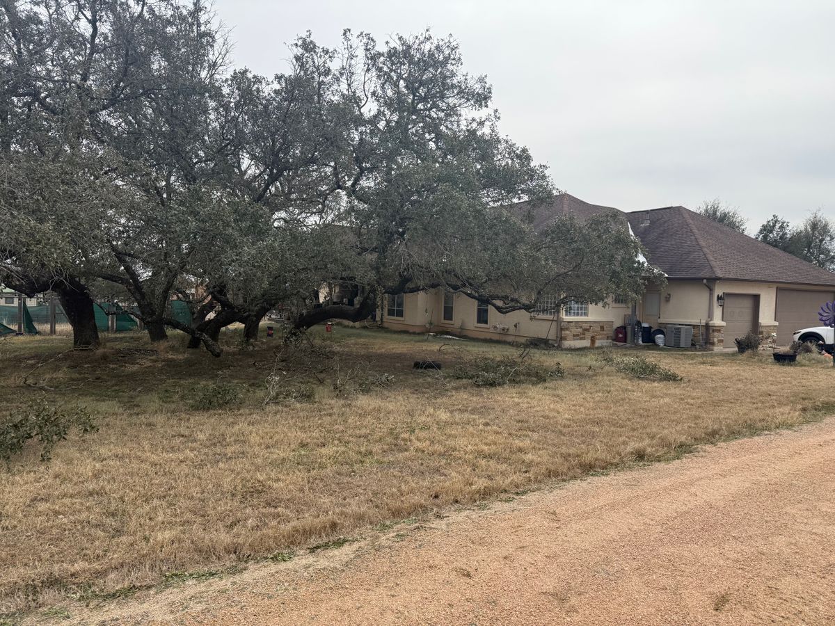 Tree Trimming for Oakley’s Stump ‘N Grind in Leander, TX