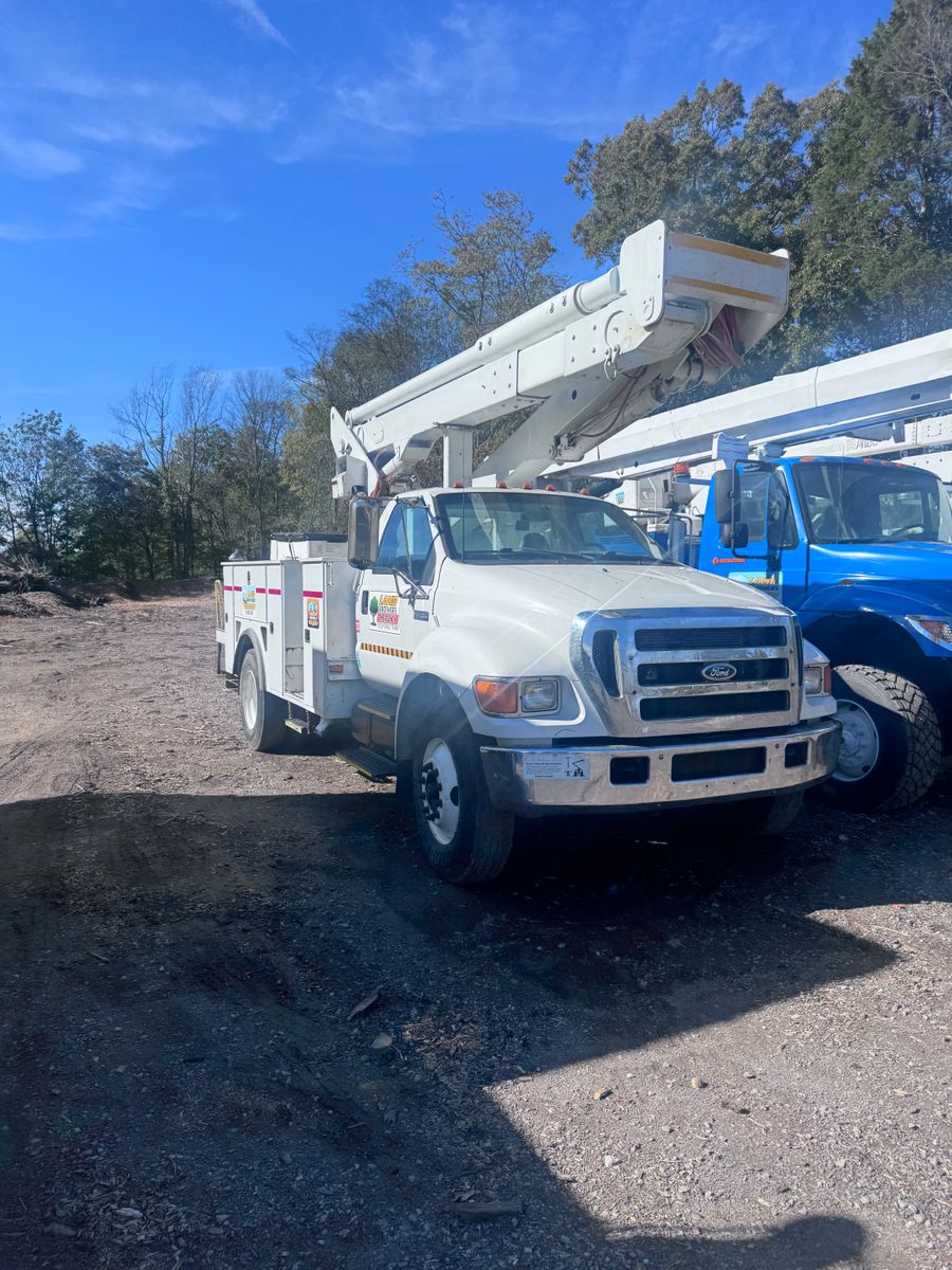 Tree Removal for Lamb Brothers Clearing in Murray, KY