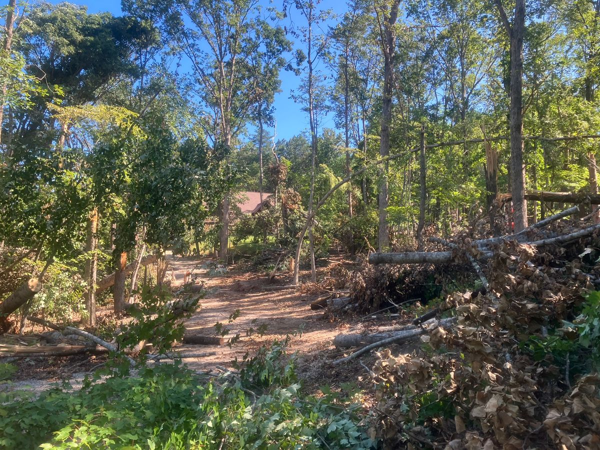 Tree Trimming & Removal for Triple P Excavation in Atlanta, GA