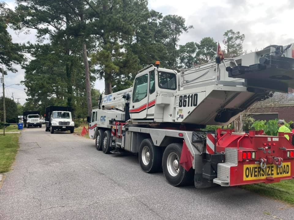 Tree Removal for James River Tree Service in Suffolk, VA