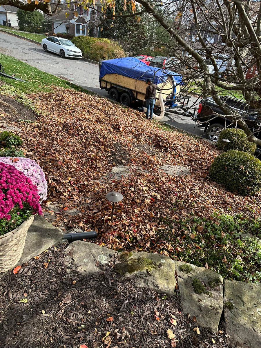 Fall Clean Up for Lopez Landscaping and Hardscapes in Scranton, PA