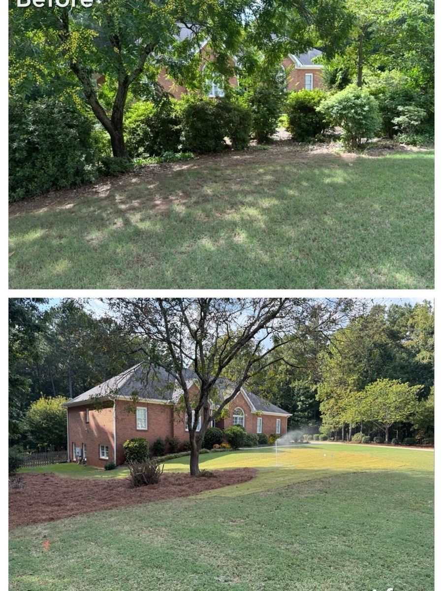 Brush Cutting and Removal for Fayette Property Solutions in Fayetteville, GA