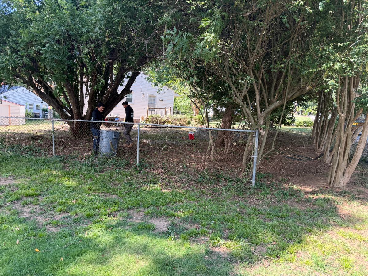Tree & Shrub Care for D&G Pro Cut LLC in Winston-Salem, NC
