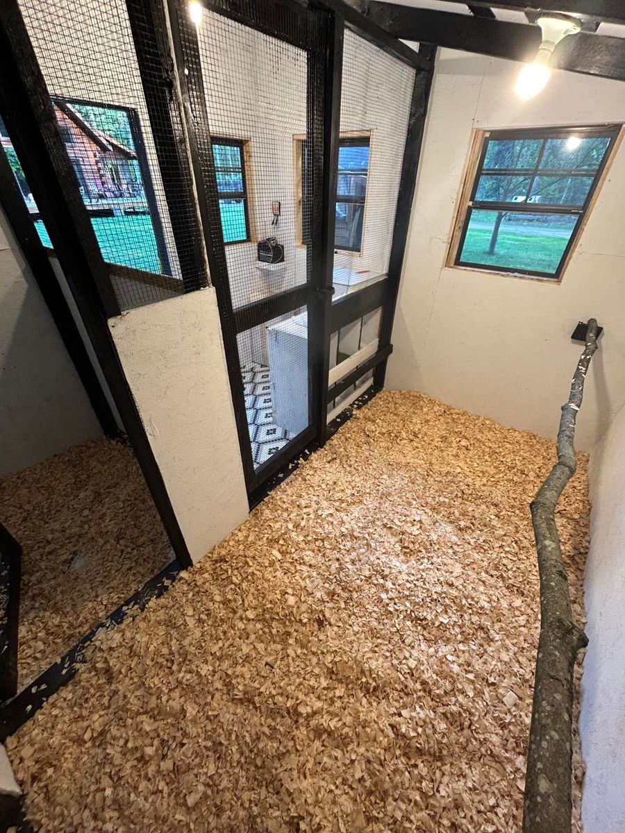 Animal Shelters for Yoder Sheds in Greenwood, WI