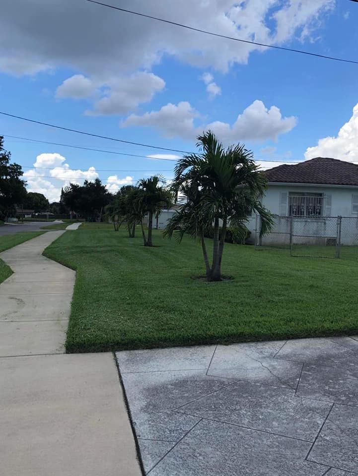 Mowing for Daniel Sons Landscaping &Maintenance in Tampa, Florida