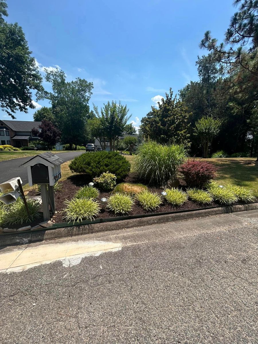 Tree & Shrub Trimming for Absolute Lawn Solutions LLC in Sutherland, VA