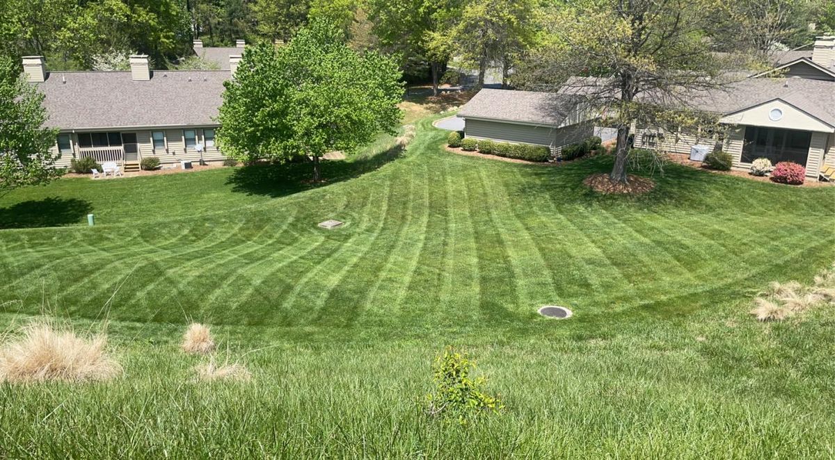 Landscape Design for Pisgah Property Services LLC in Asheville, NC
