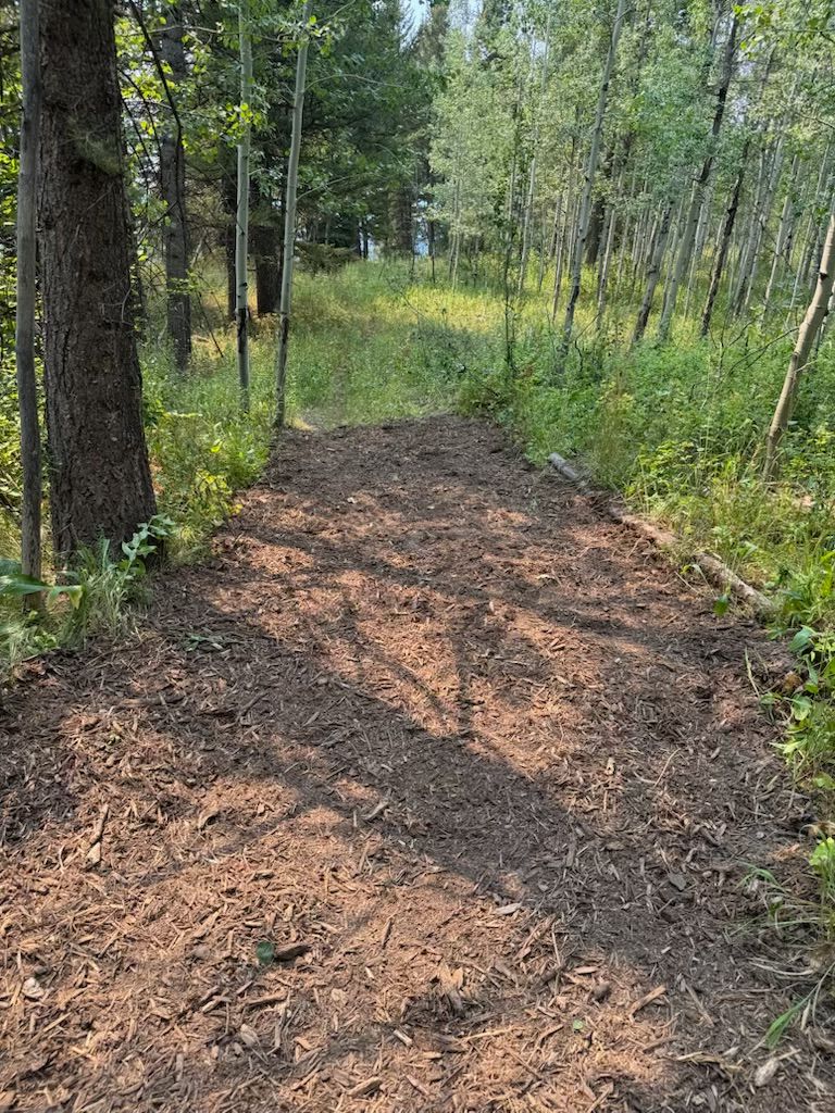 Land Clearing for Hansen Earth Works in Jackson, WY