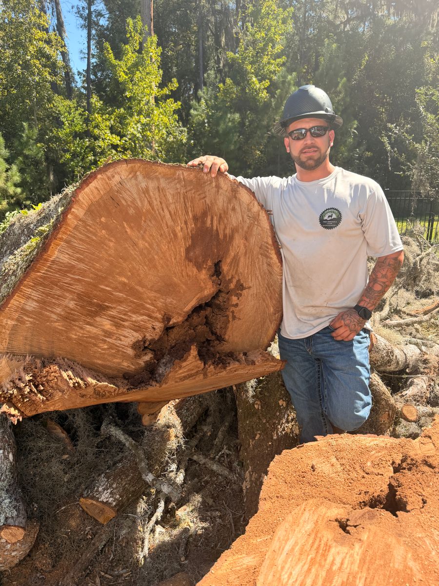 Tree Removal for Hawkins Tree Service & Land Management in Richmond Hill, GA