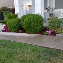 Shrub Trimming for Regalado Landscape in Antioch, CA