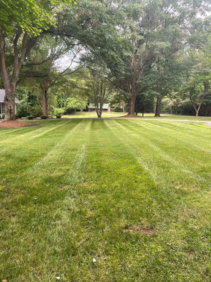 Lawn Maintenance for Palmetto State Landscaping in Gaffney, SC