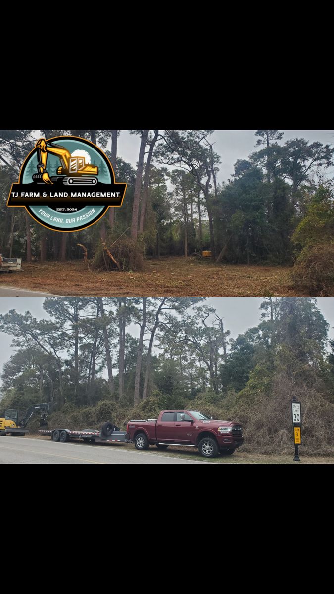 Lot Clearing for TJ Farm and Land Management in Loris, SC
