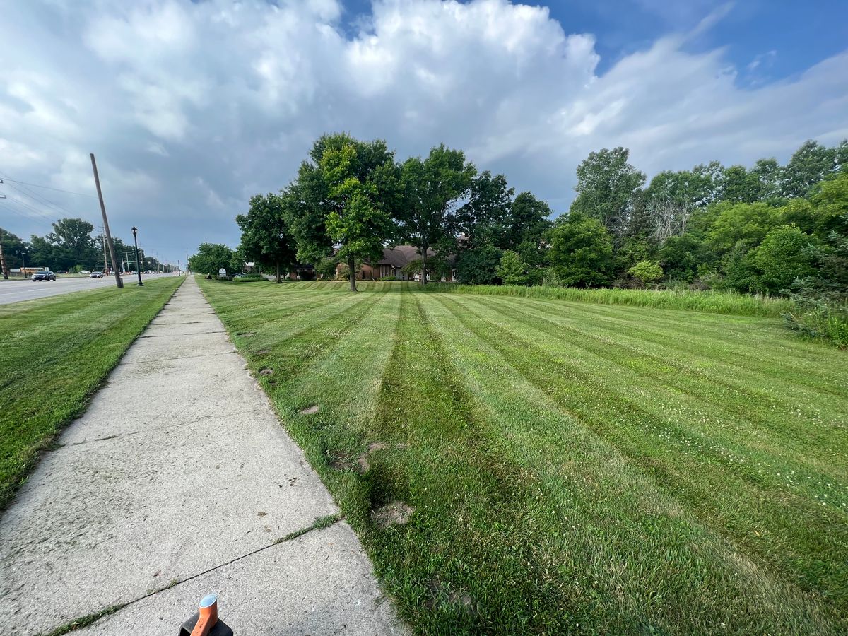 Lawn Aeration for Hammond Landscape in Okemos, MI