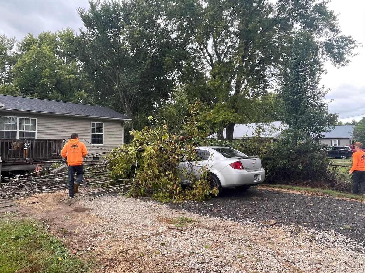 Tree Removal for Ross Family Tree Service LLC  in Hohenwald, TN