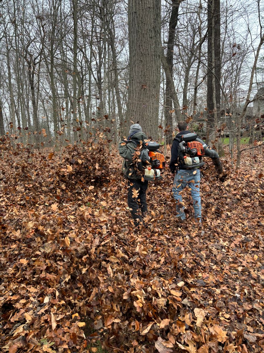 Lawn Maintenance for Stevenson Property Maintenance in Cheshire, CT