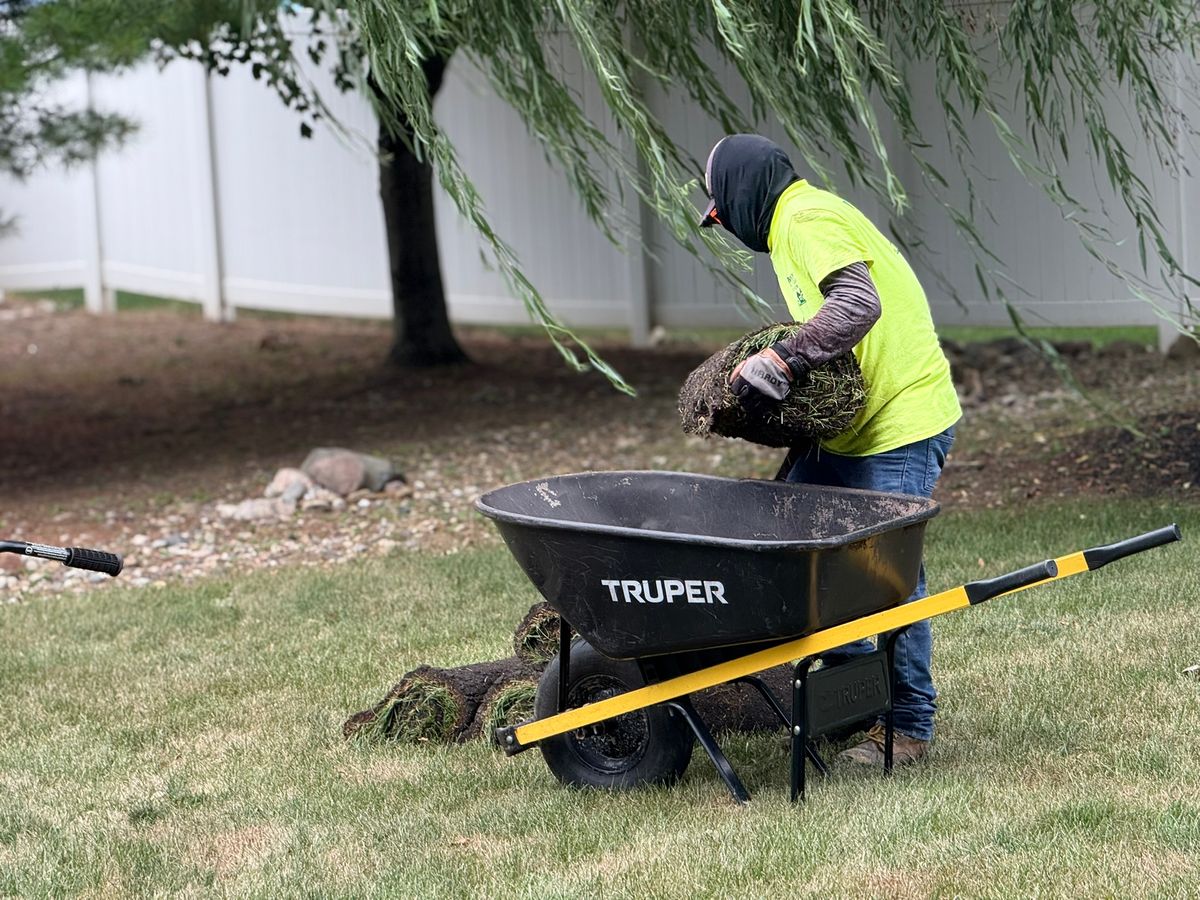 Shrub Trimming for Manny's Cleaning,Lawn Care & Snow Removal Services in Champaign, IL