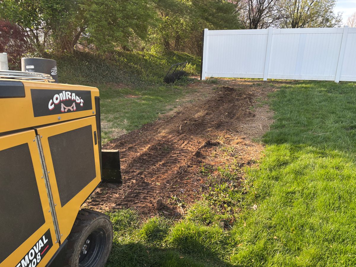Stump Removal for Conrad's Stump Removal in Columbus, IN