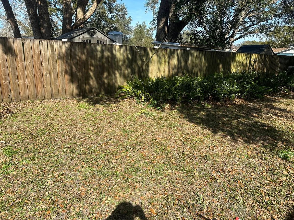 Landscape Design for The Yardman in Tampa, FL