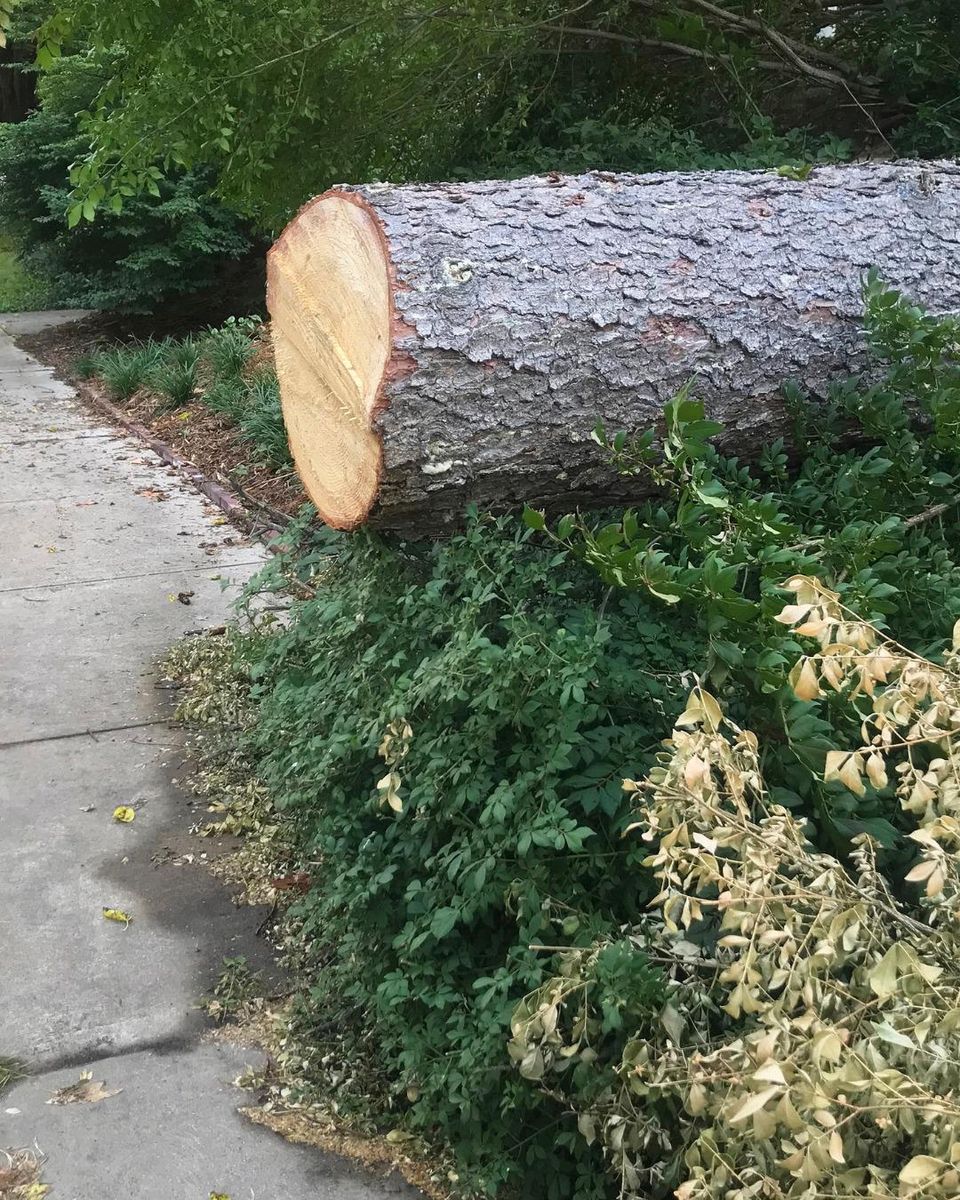 Fall Clean Up for Oakwood Tree Removal LLC in Oak Creek,  WI