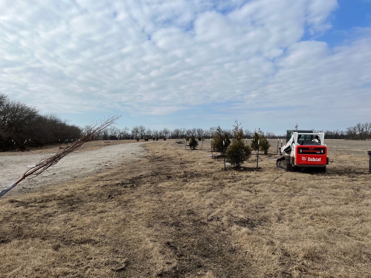 Tree Planting for Jakob’s Lawn Kare in Wichita, KS