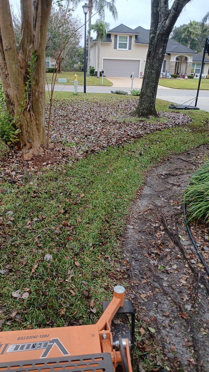 Fall Clean Up for Whole 9 Yards Services in Green Cove Springs, FL