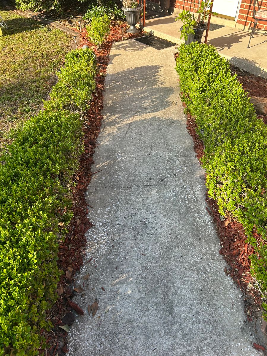 Driveway and Sidewalk Cleaning for Project Masters Group in Tampa, FL