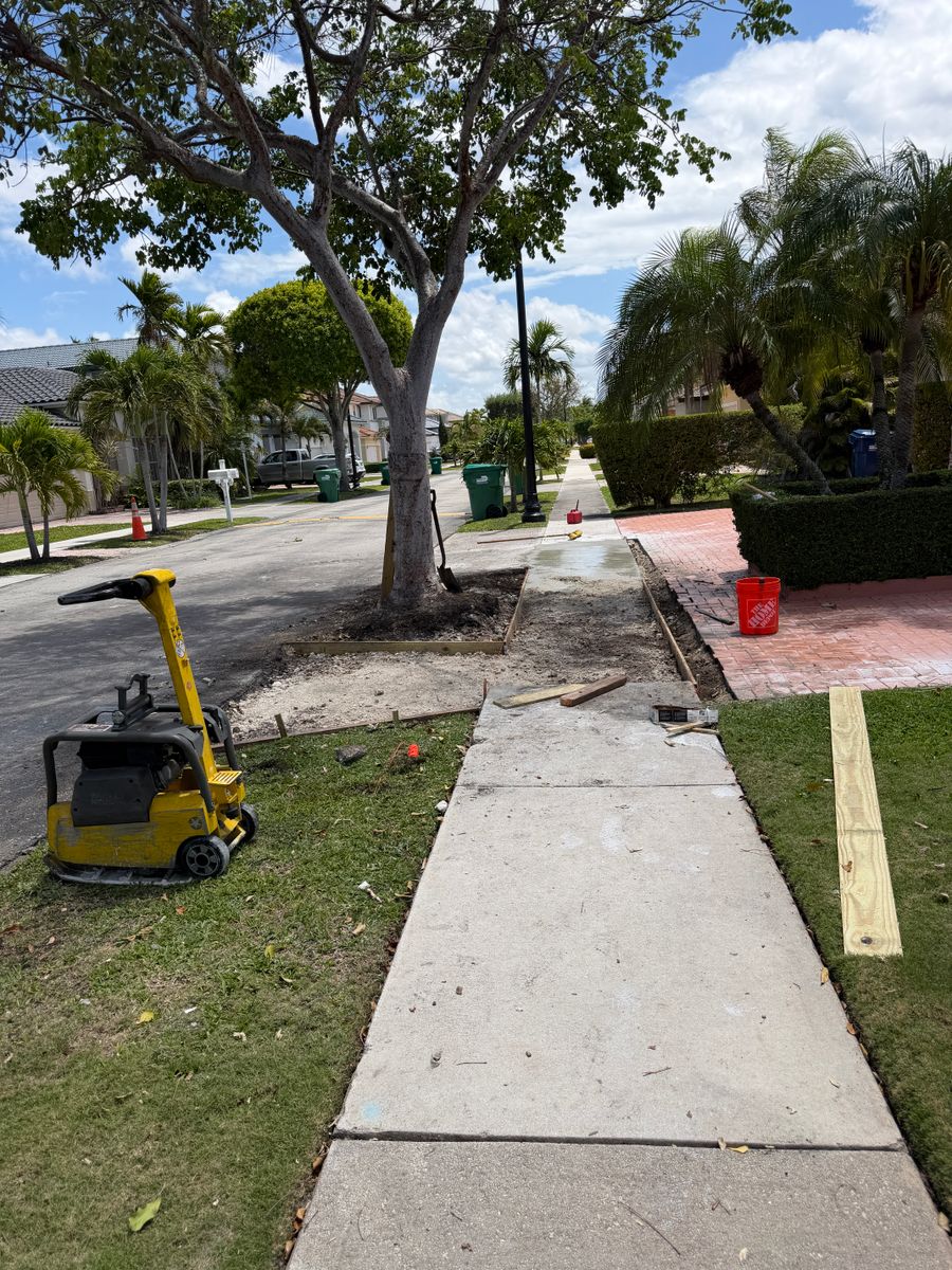 Tree Removal for Nurry Tree Services in Miami, FL