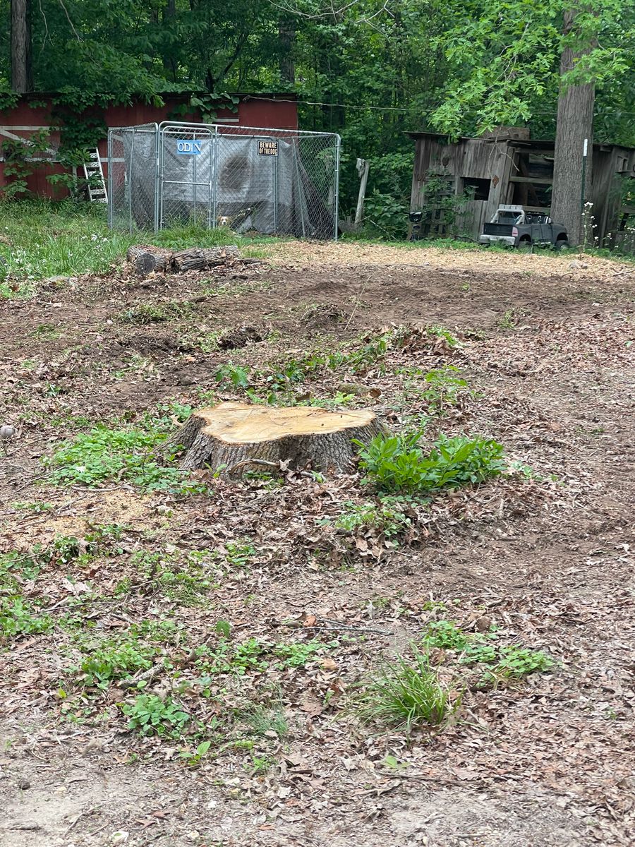 Land Clearing & Demolition for Maness Trucking & Excavation in Lexington, TN