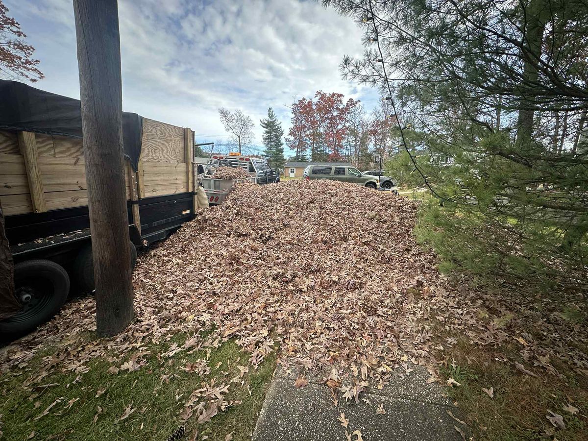 Fall Clean Up for A Better Lawn Service LLC in Bel Air, MD