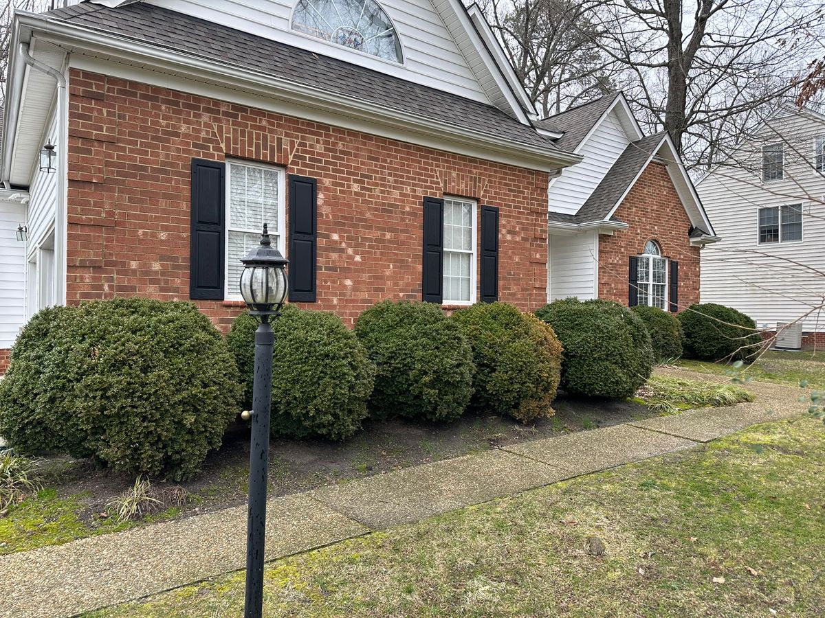 Shrub and tree Trimming for Atlas Home Services in Mechanicsville, VA
