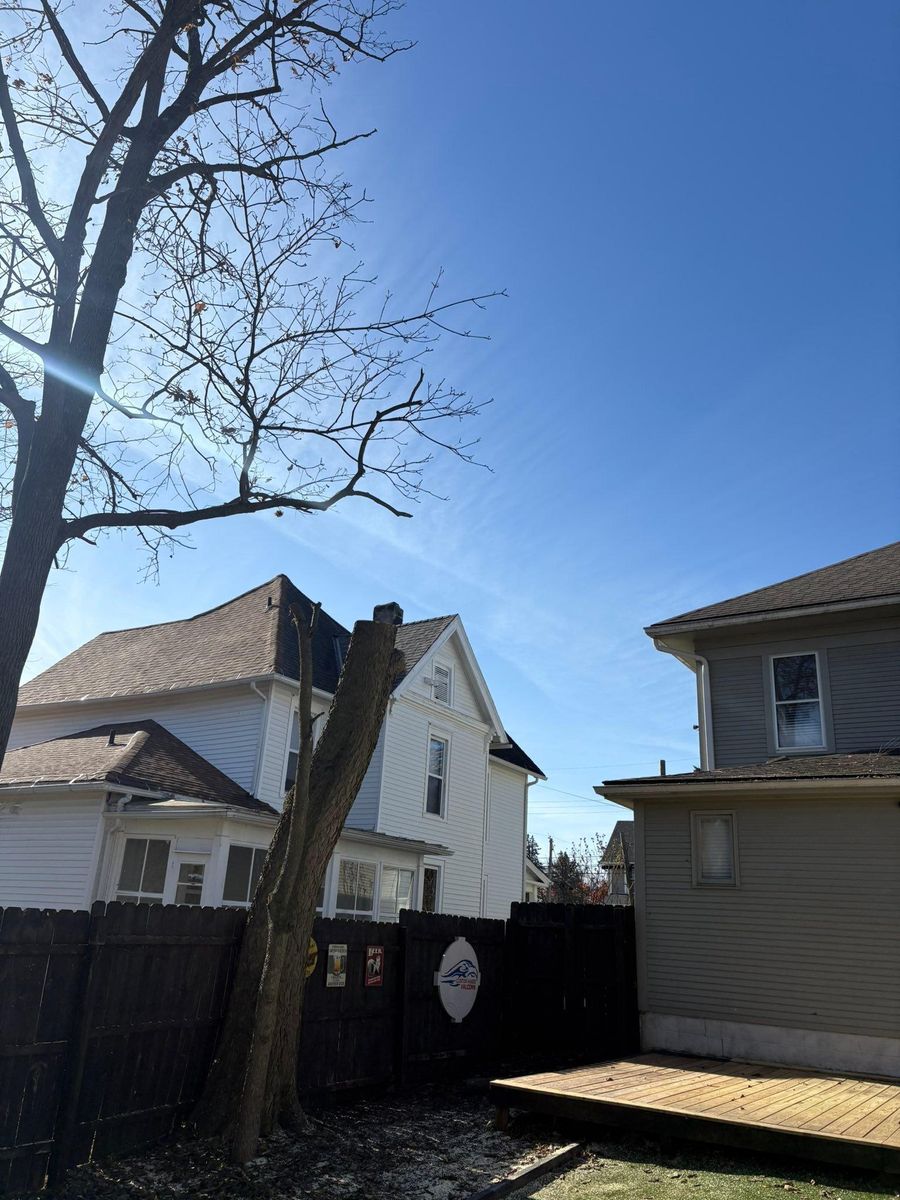 Tree Trimming for Dig-It Tree Company in Mason, OH