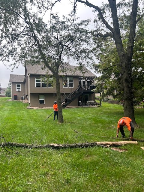 Tree Trimming for Cross Family Tree Service in Kearney, MO