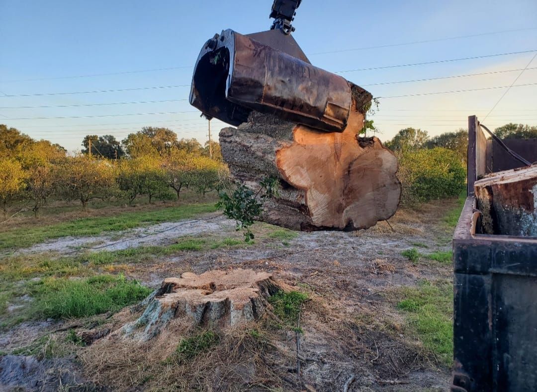 Hauling for Regal Tree Service and Stump Grinding in Wauchula, FL