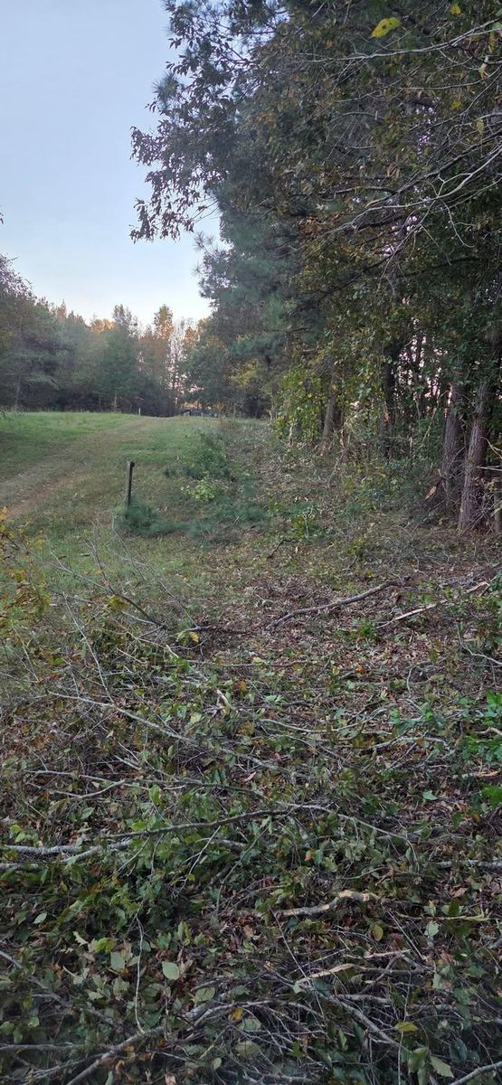 Forestry Mulching for Southern Stronghold Earthworks in Benson, NC