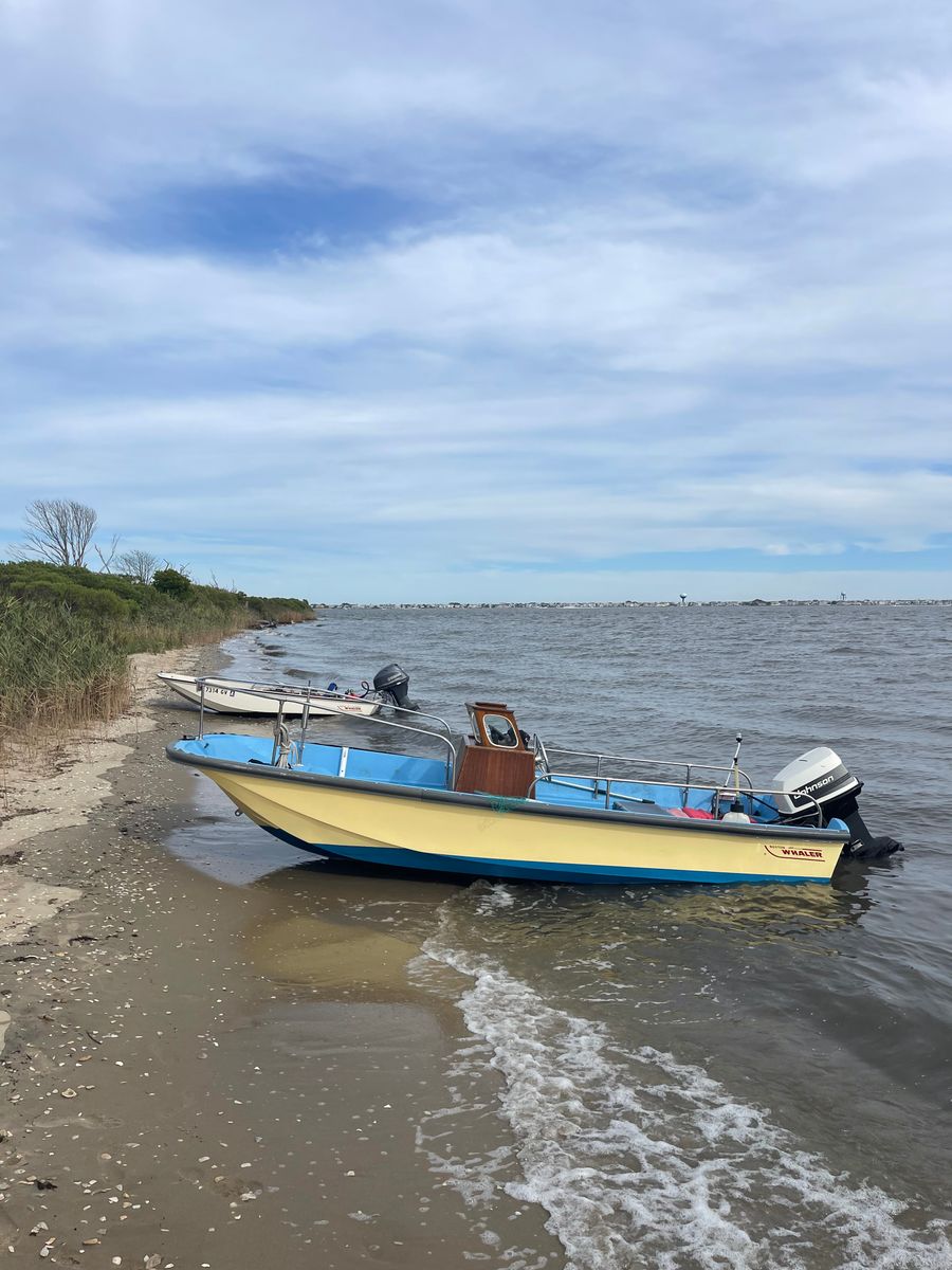 Winterization for C and T Marine LLC in Stafford Township, NJ