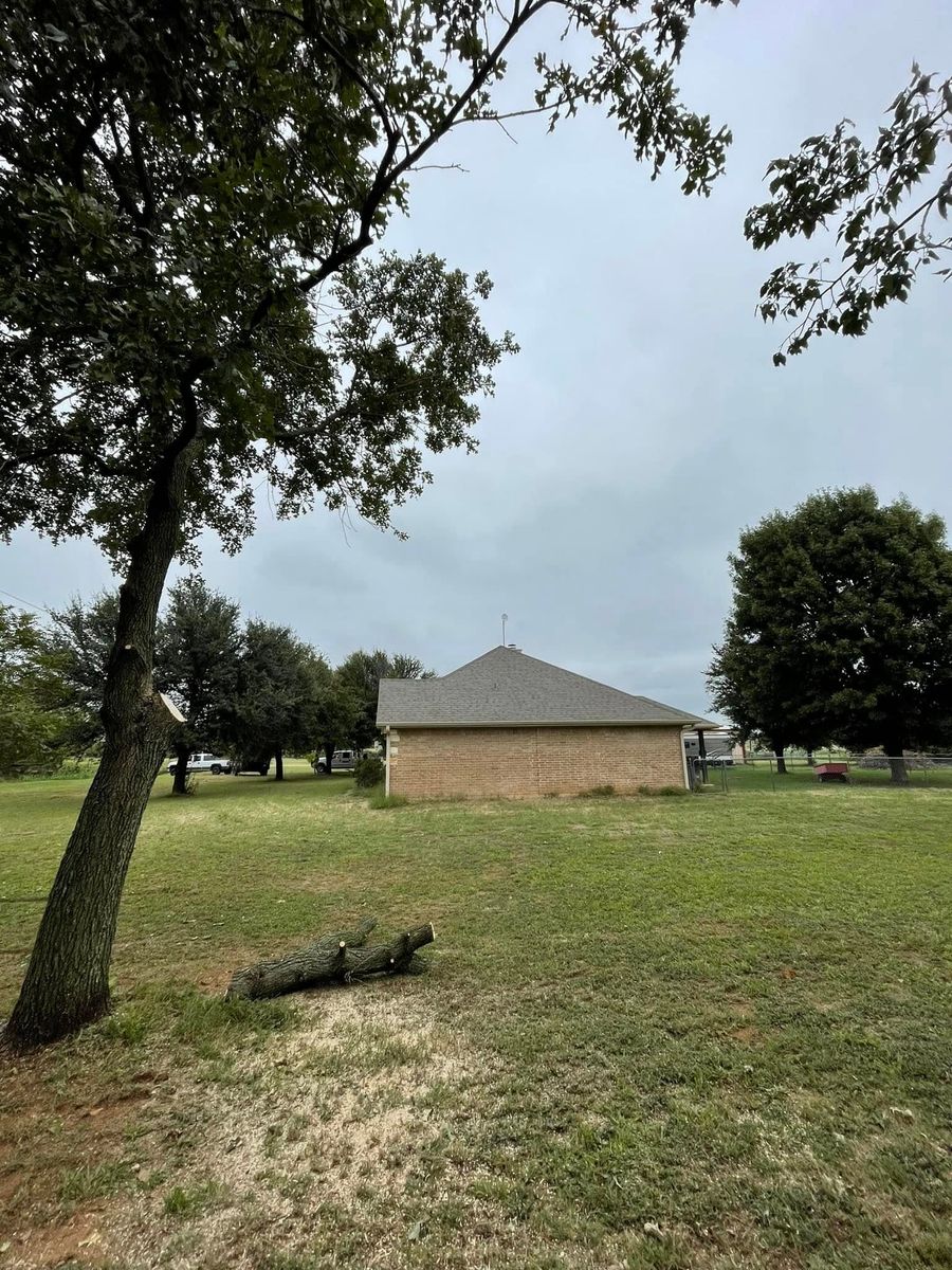 Tree Trimming for Marks Tree Service in Fort Worth, TX