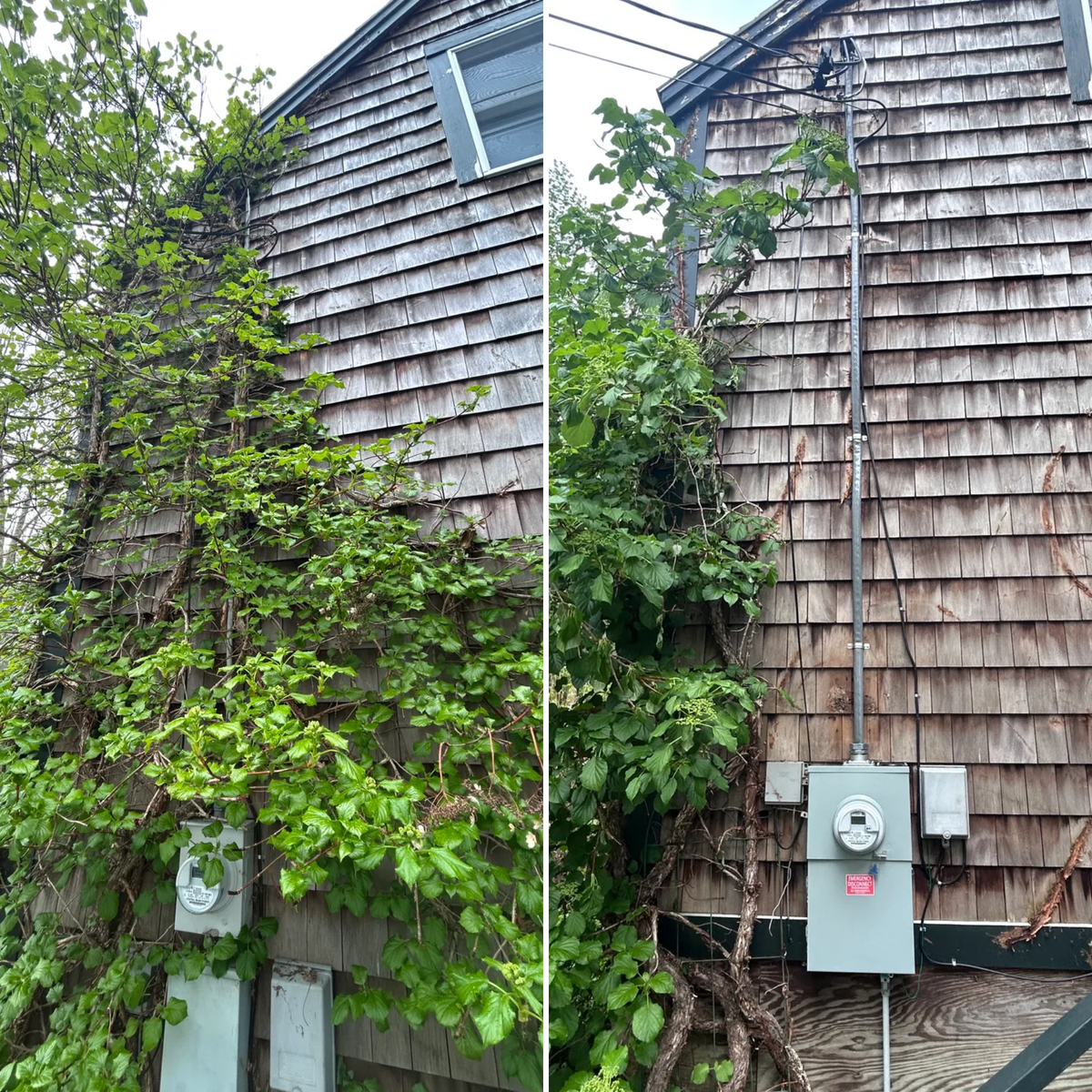 Electrical Panel Upgrades for Beaver Electric in Brunswick, ME