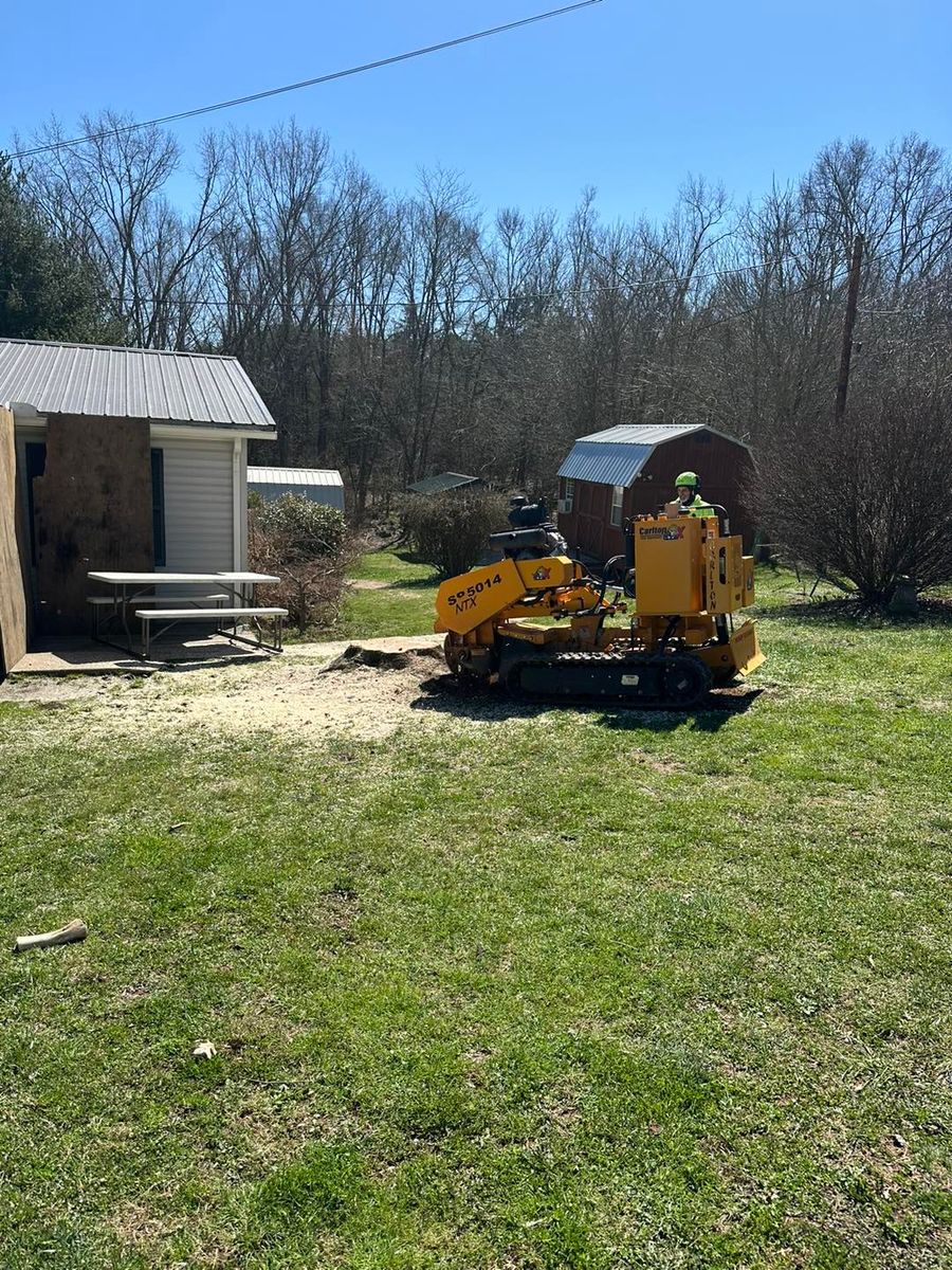 Stump Removal for Complete Care in Cumberland Gap, TN