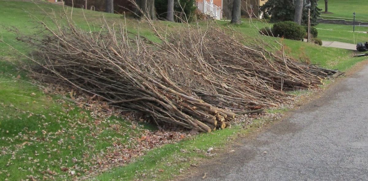 Brush Removal for Thrashers Utilities Services in Sultan, WA