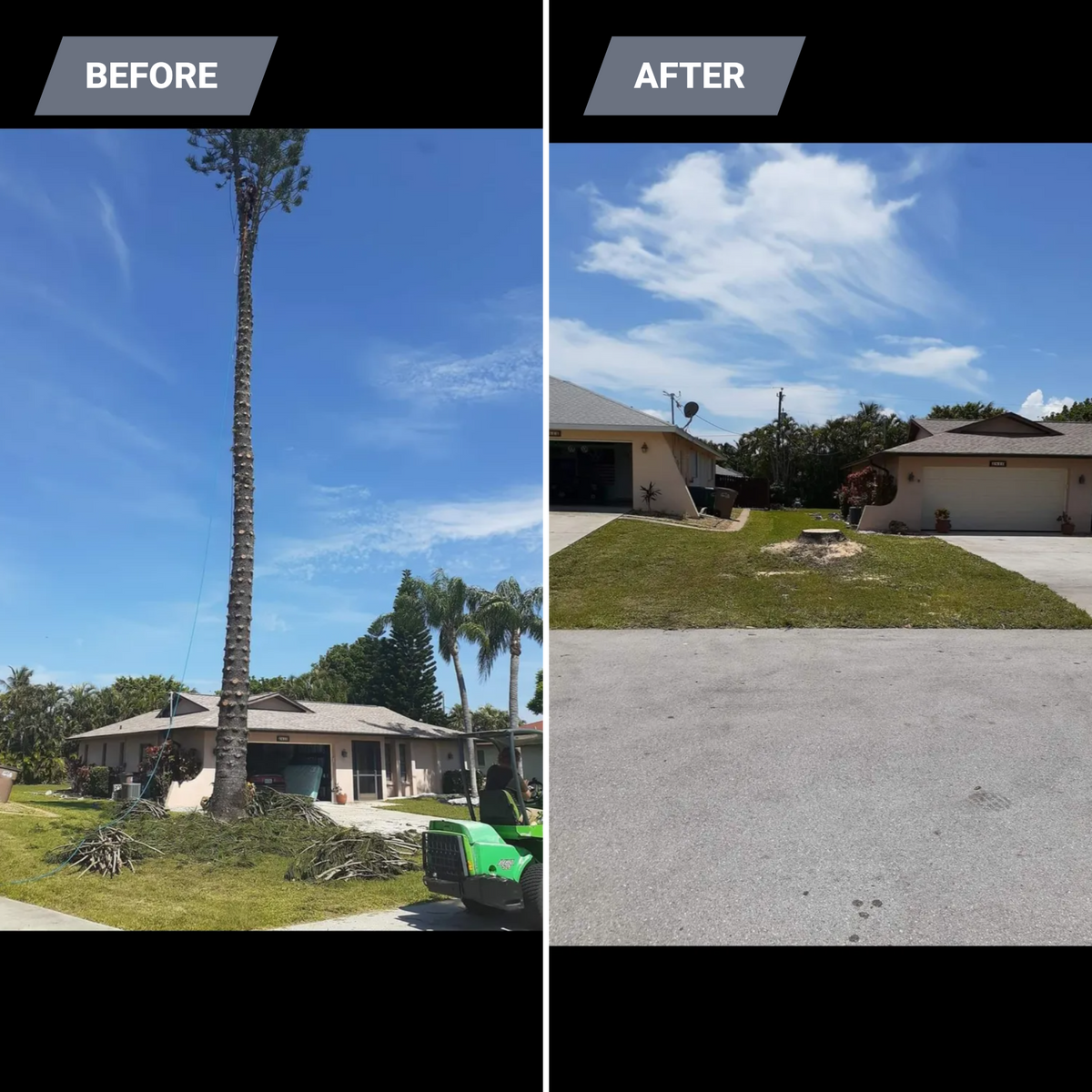 Tree Removal for Advanced Landscaping Solutions LLC in Fort Myers, FL