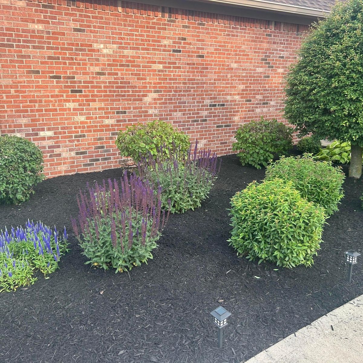 Mulch Installation for Bearforce Lawn Care LLC in Greenfield, IN