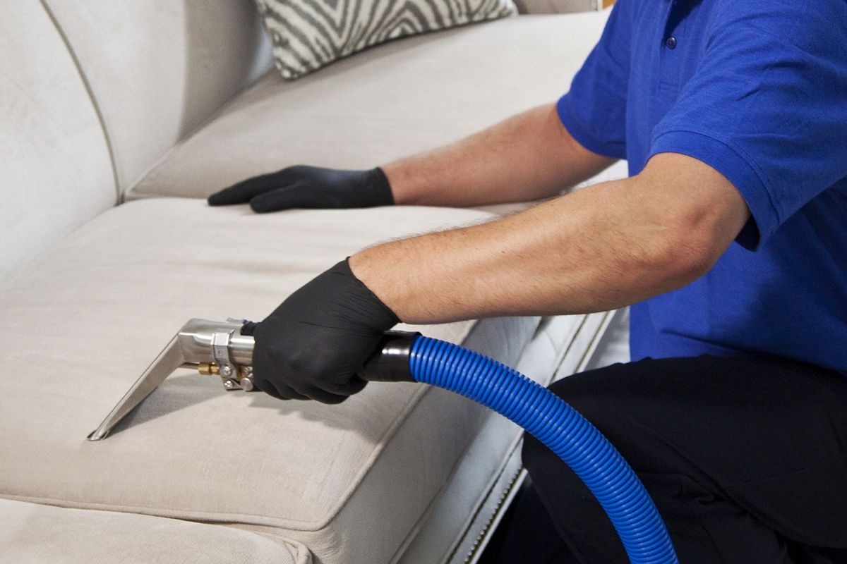 Upholstery Cleaning for Naples Shine Cleaning Solutions LLC in Naples, FL