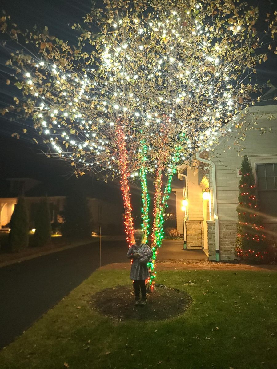 Holiday Lighting for Fence Medic in Arlington Heights, IL