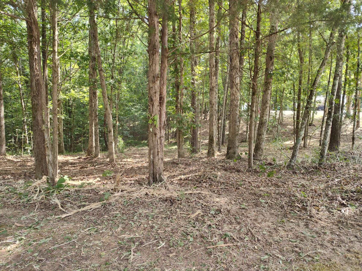 Forestry Mulching for 5 Star Land Management in Beech Bluff, TN